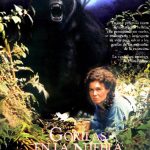 Gorilas en la niebla