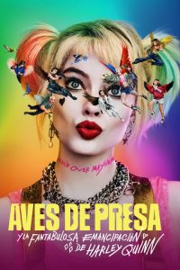 Aves de Presa (Birds of Prey)
