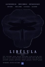 Libélula