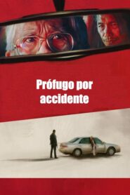 Prófugo por accidente (The Accidental Getaway Driver)