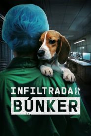 Infiltrada en el búnker