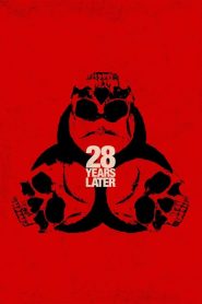 28 años después (Exterminio: La evolución)
