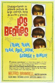 ¡Qué noche la de aquel día! (La noche de un día difícil)