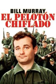 El pelotón chiflado (Stripes)