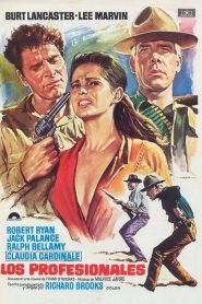 Los profesionales