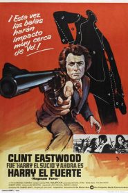 Harry el fuerte (Magnum 44)