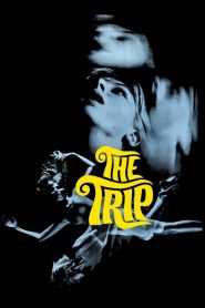 The Trip (El viaje)