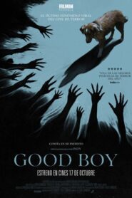 Good Boy (2025)