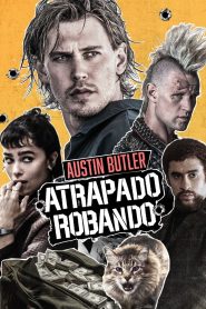 Bala perdida (Atrapado robando)