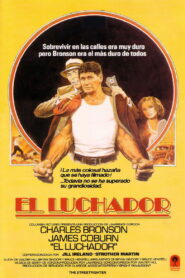 El luchador (El peleador callejero)