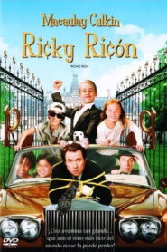 Niño rico (Ricky Ricón)